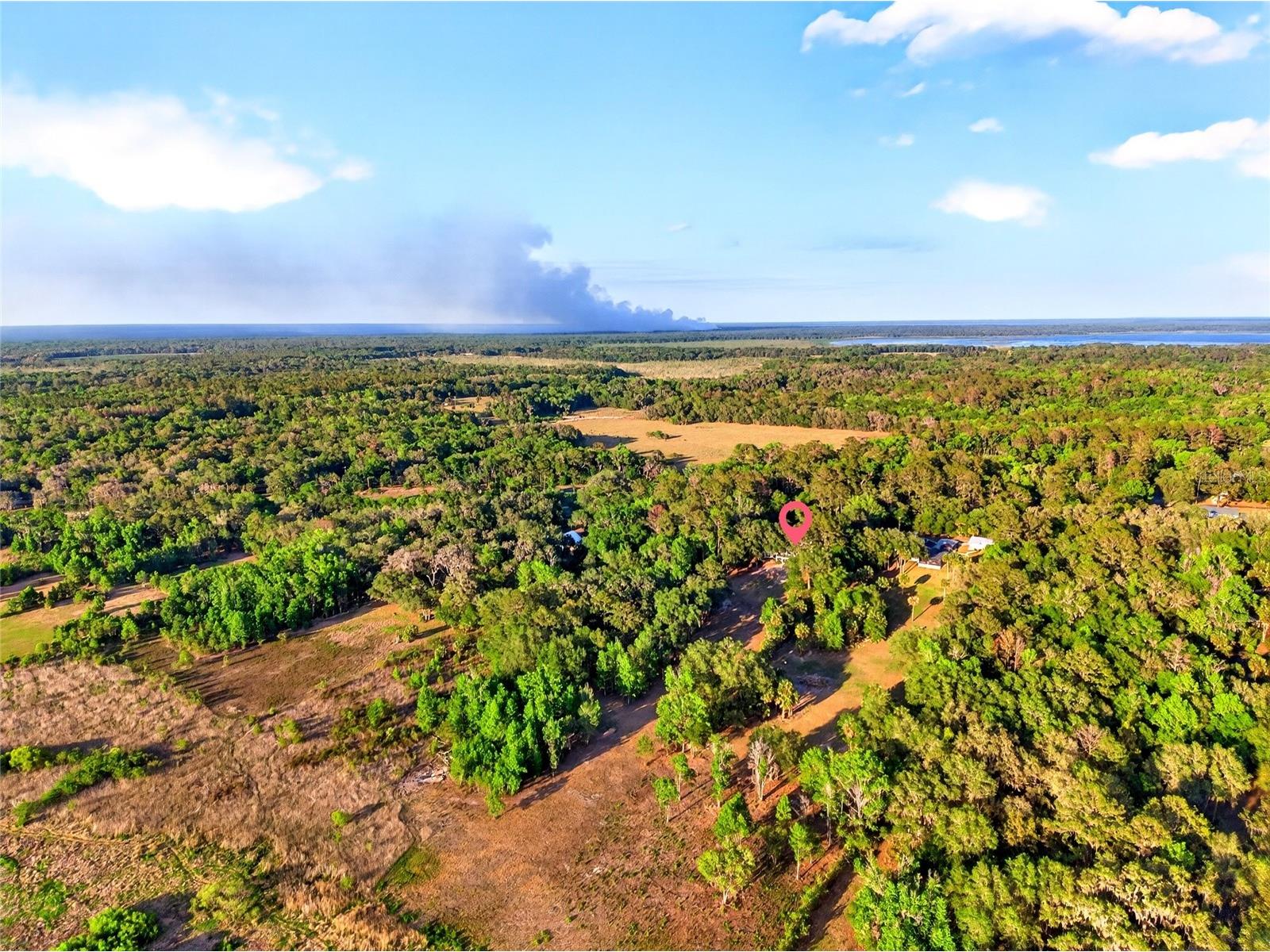 17704 SE 59th Street Micanopy FL 32667 OM724277 image38