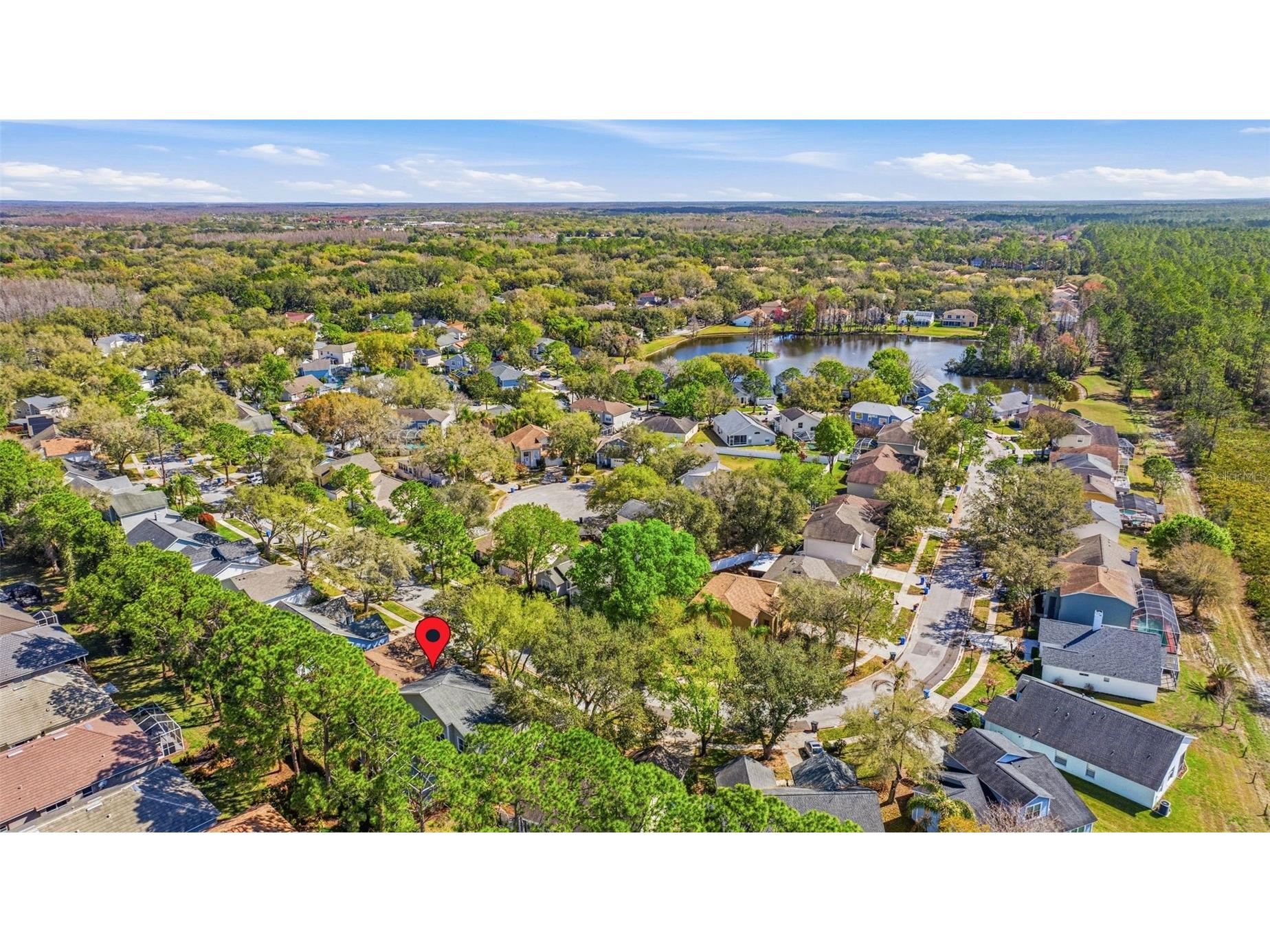 17705 Esprit Drive Tampa FL 33647 TB8482824 image40