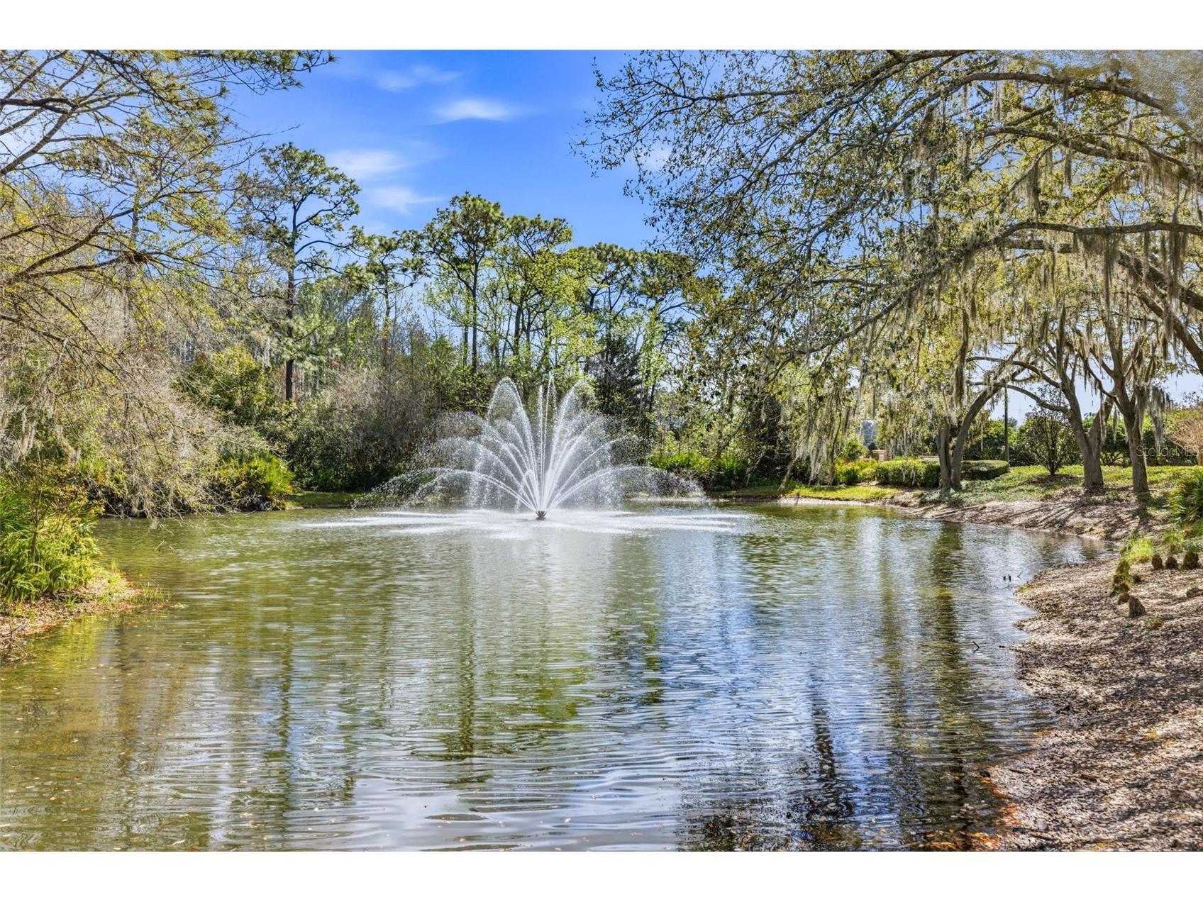 17705 Esprit Drive Tampa FL 33647 TB8482824 image49