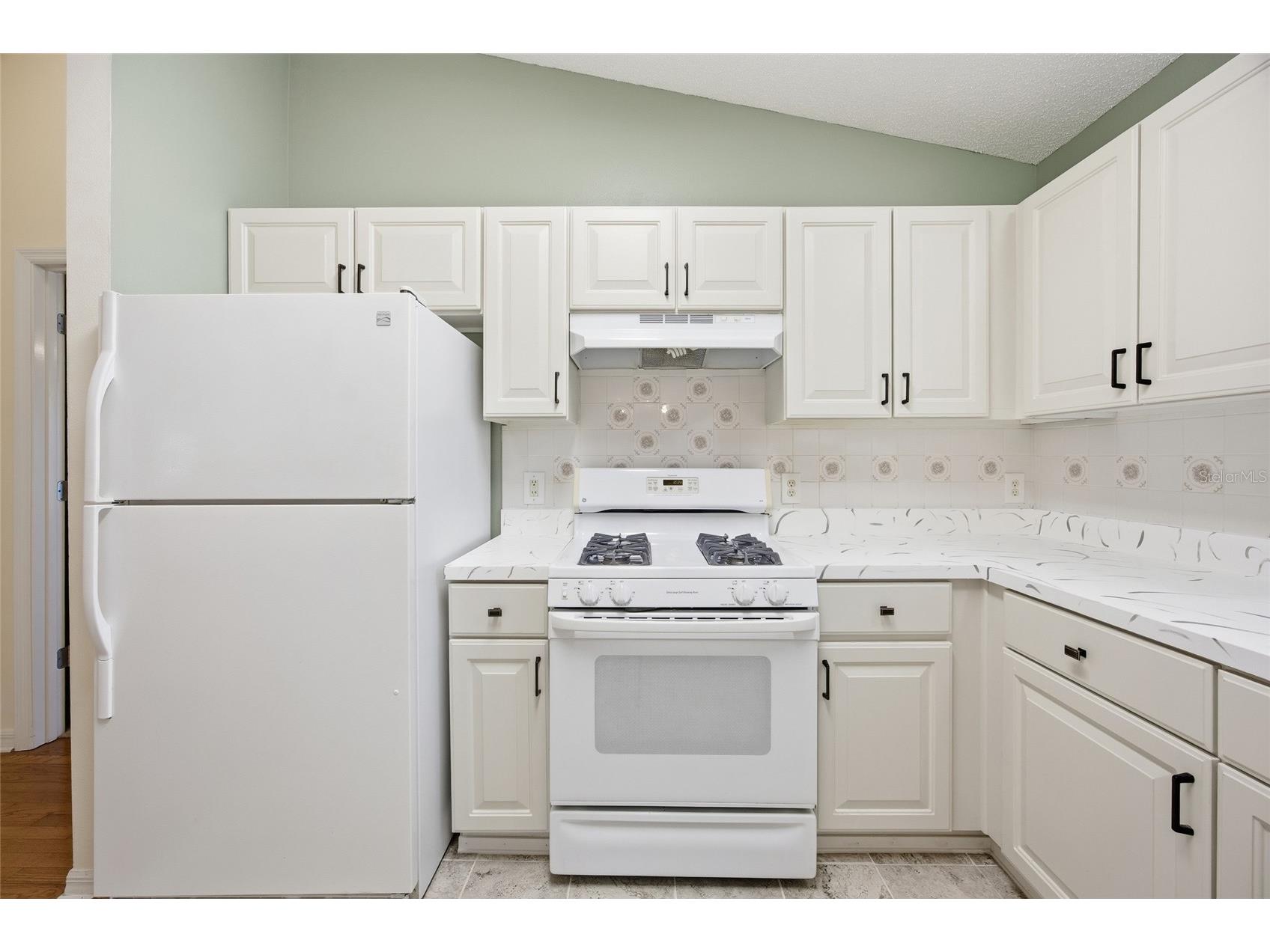17705 SE 93rd Hawthorne Avenue The Villages FL 32162 G5111828 image15