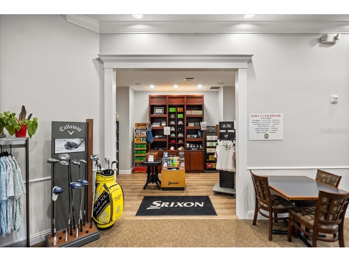 17707 Sawgrass Run Tavares FL 32778 - LAKE DORA G5101418 image18