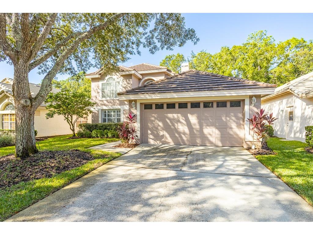 17708 Nathans Drive Tampa FL 33647 TB8434921 image1