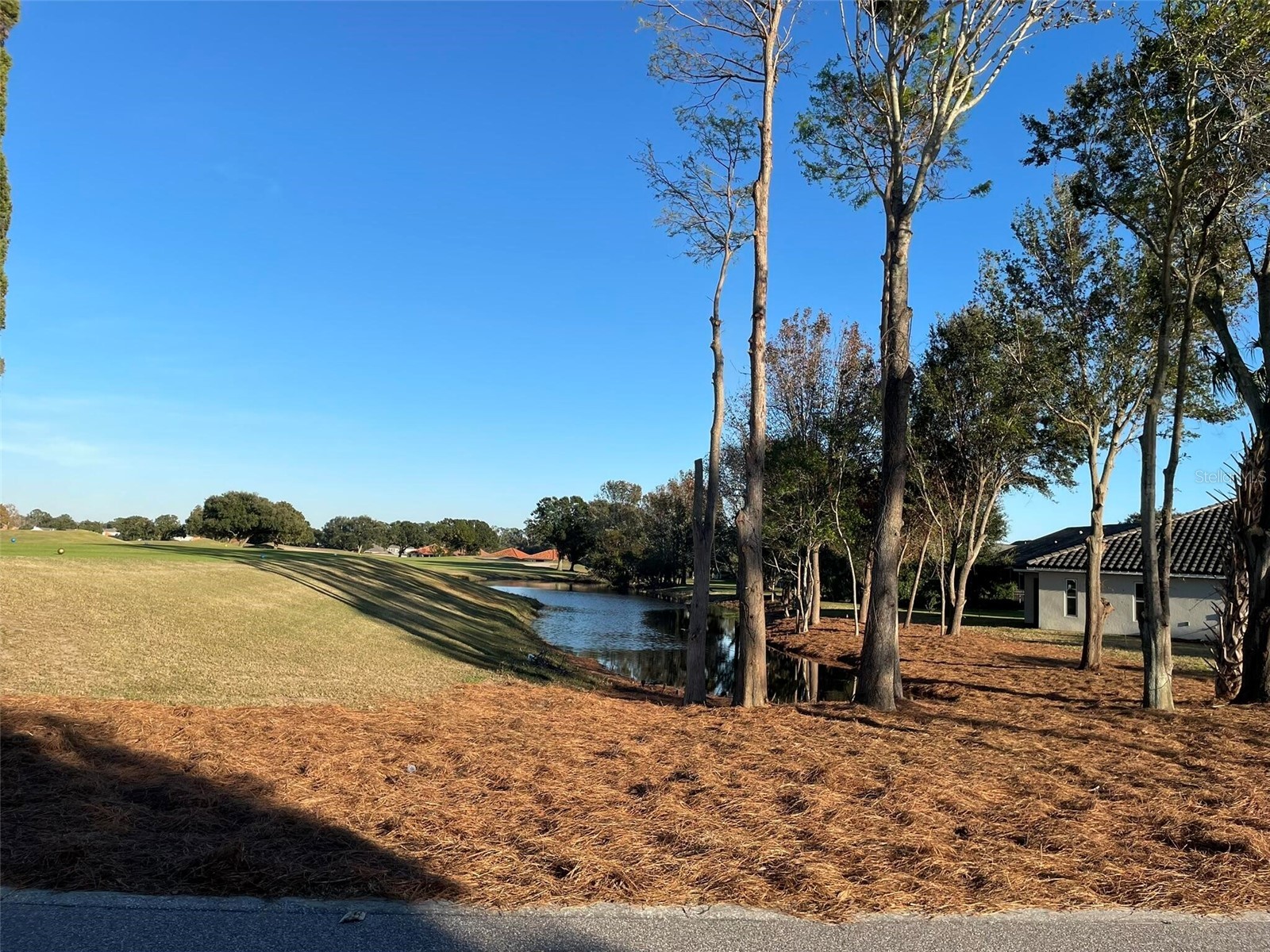 17708 Sawgrass Run Deer Island FL 32778 O6388251 image59
