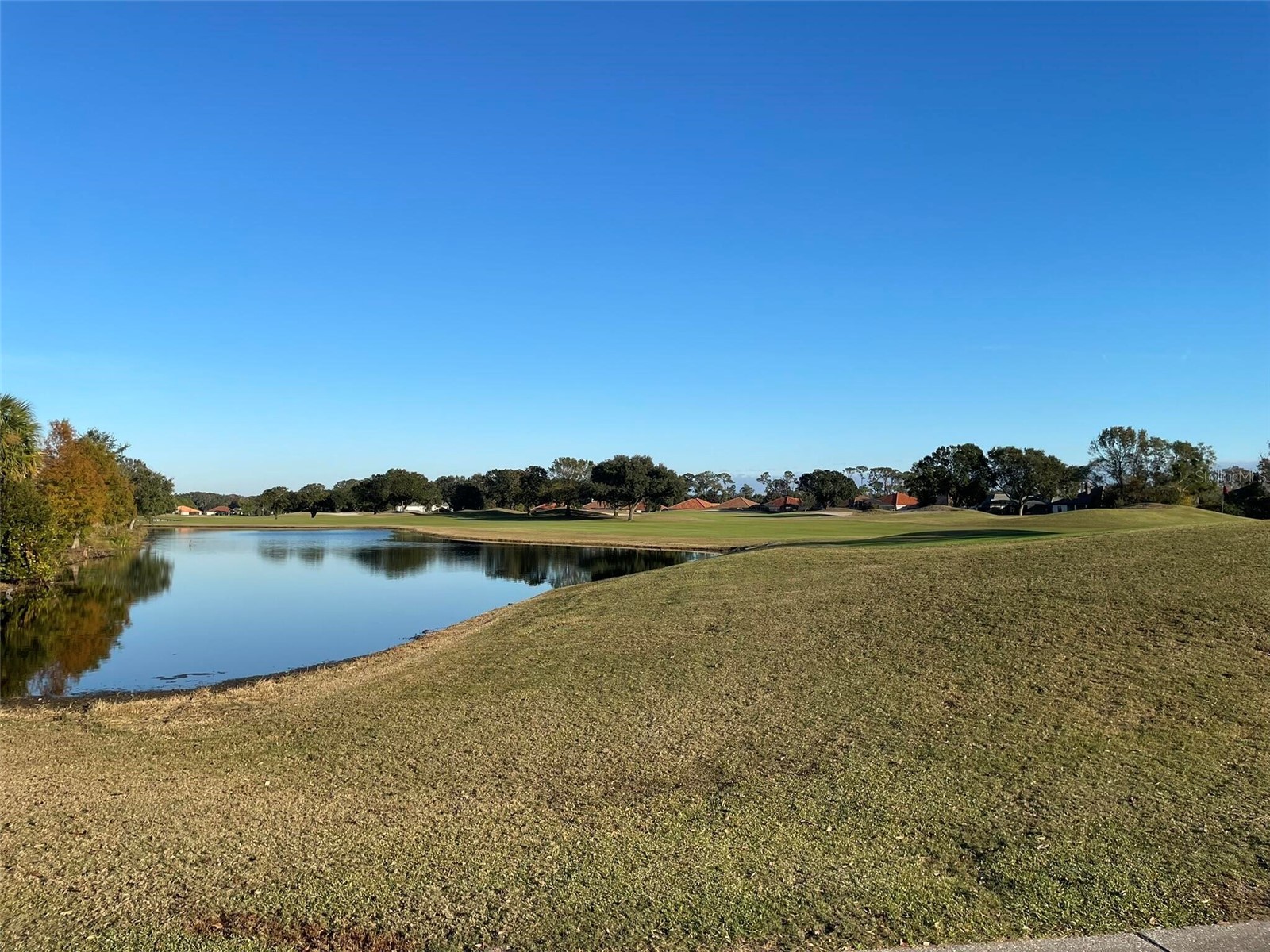 17708 Sawgrass Run Deer Island FL 32778 O6388251 image61