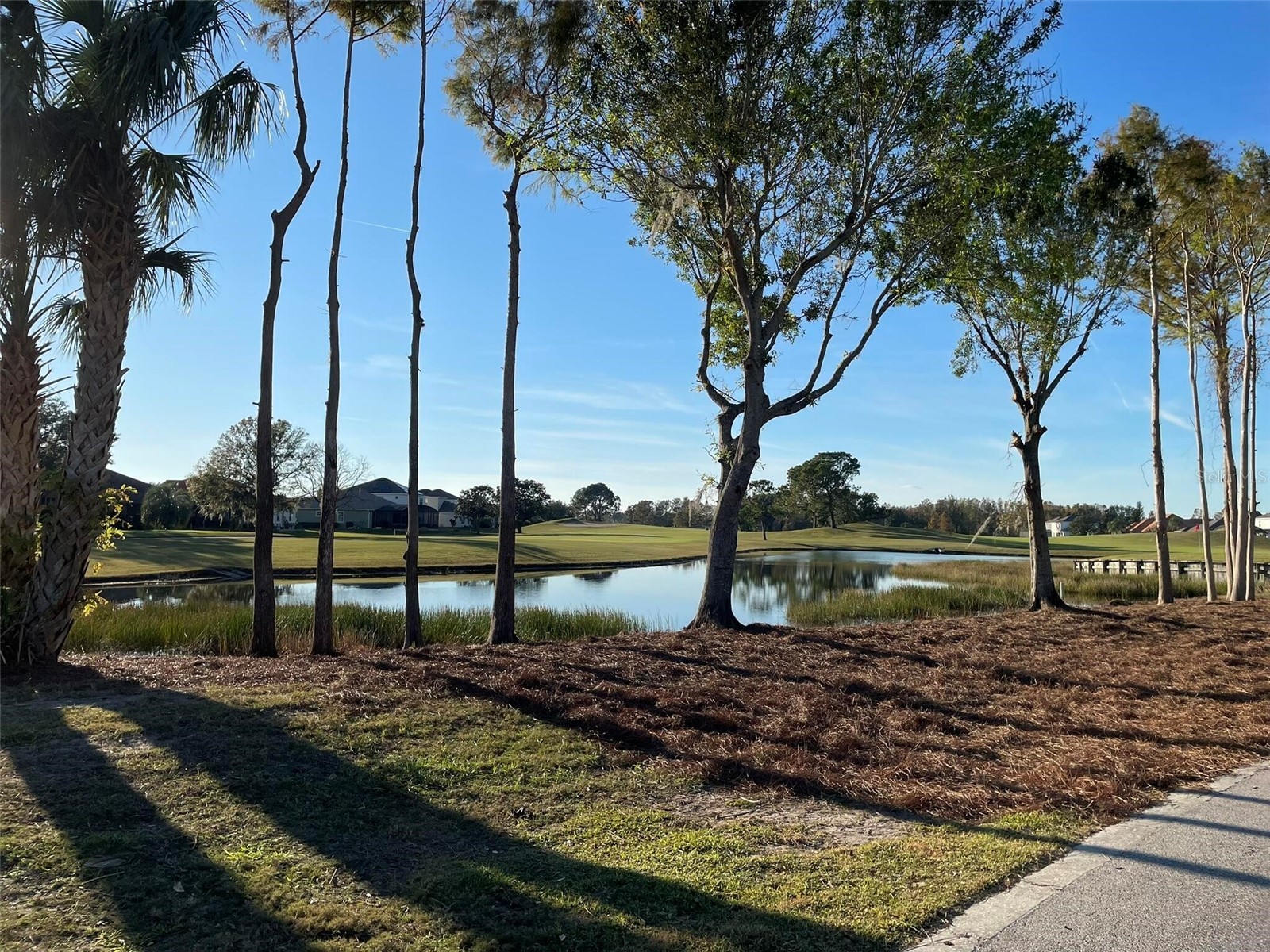 17708 Sawgrass Run Deer Island FL 32778 O6388251 image63