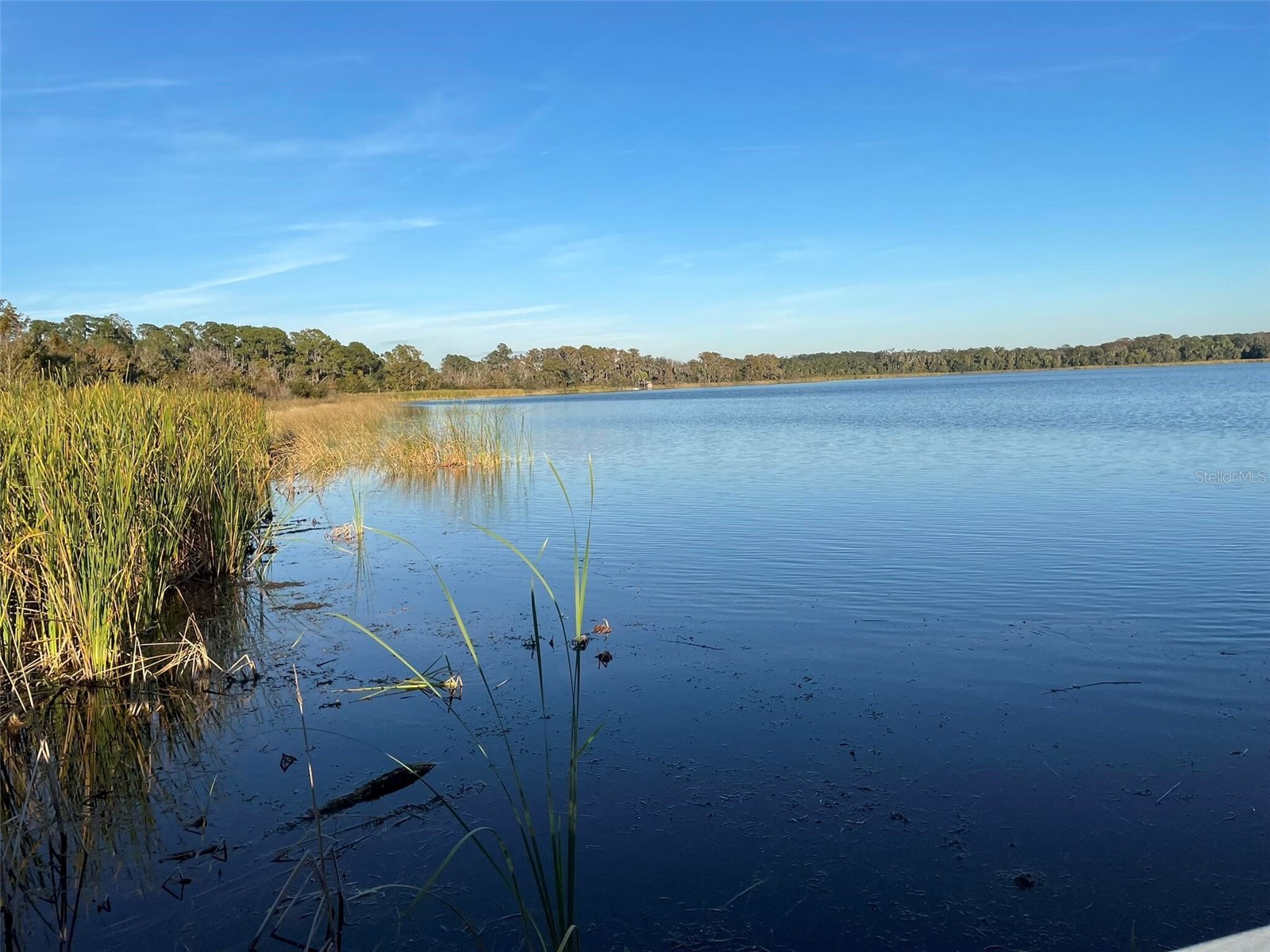 17708 Sawgrass Run Deer Island FL 32778 O6388251 image67