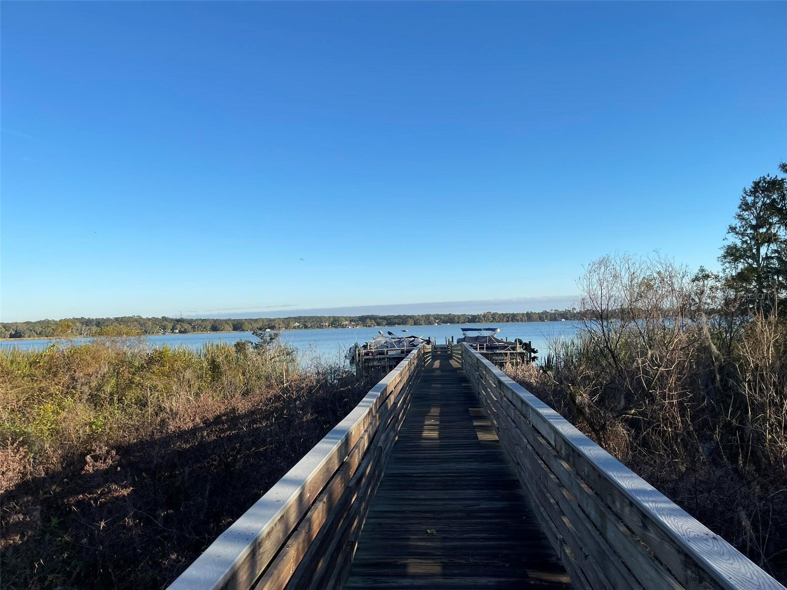 17708 Sawgrass Run Deer Island FL 32778 O6388251 image79