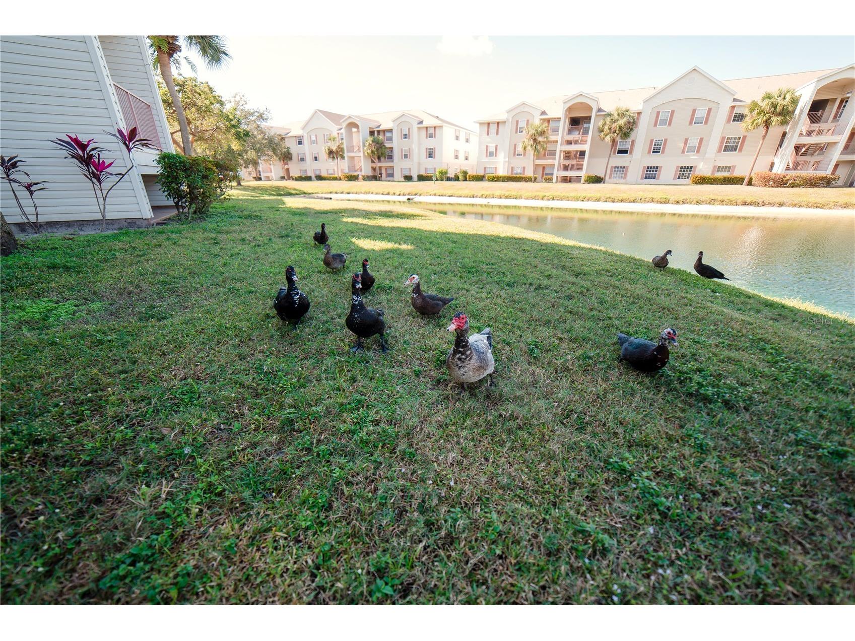 1771 Four Mile Cove Parkway #1031 Cape Coral FL 33990 D6145282 image38