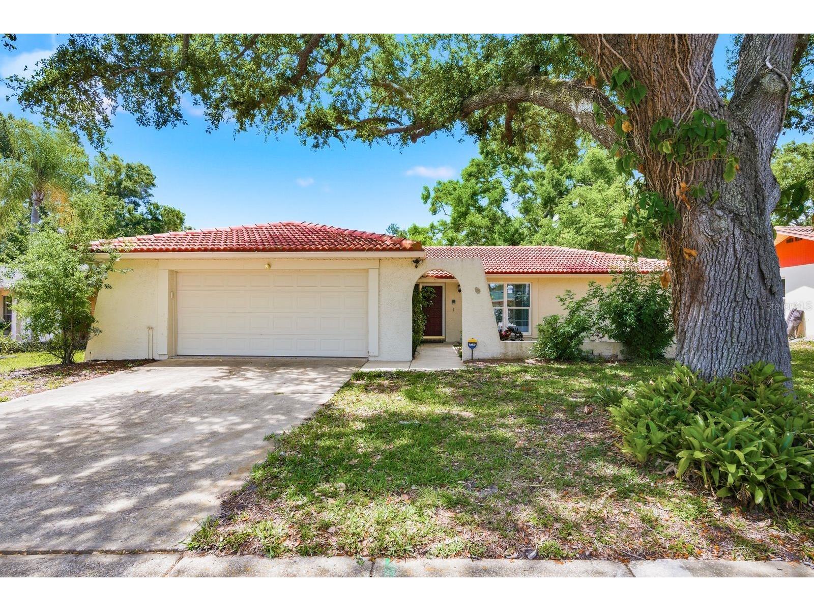 1771 Ranchwood Drive S Dunedin FL 34698 TB8505428 image2