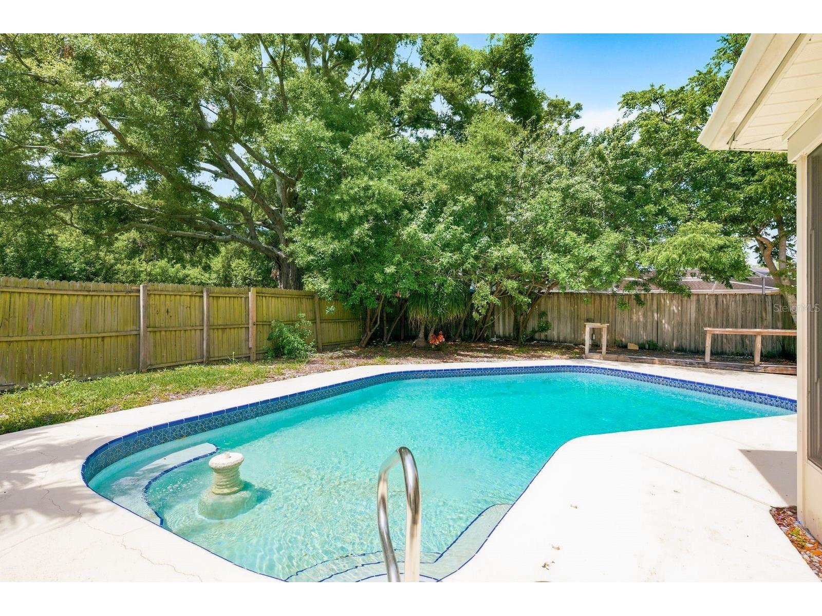 1771 Ranchwood Drive S Dunedin FL 34698 TB8505428 image35