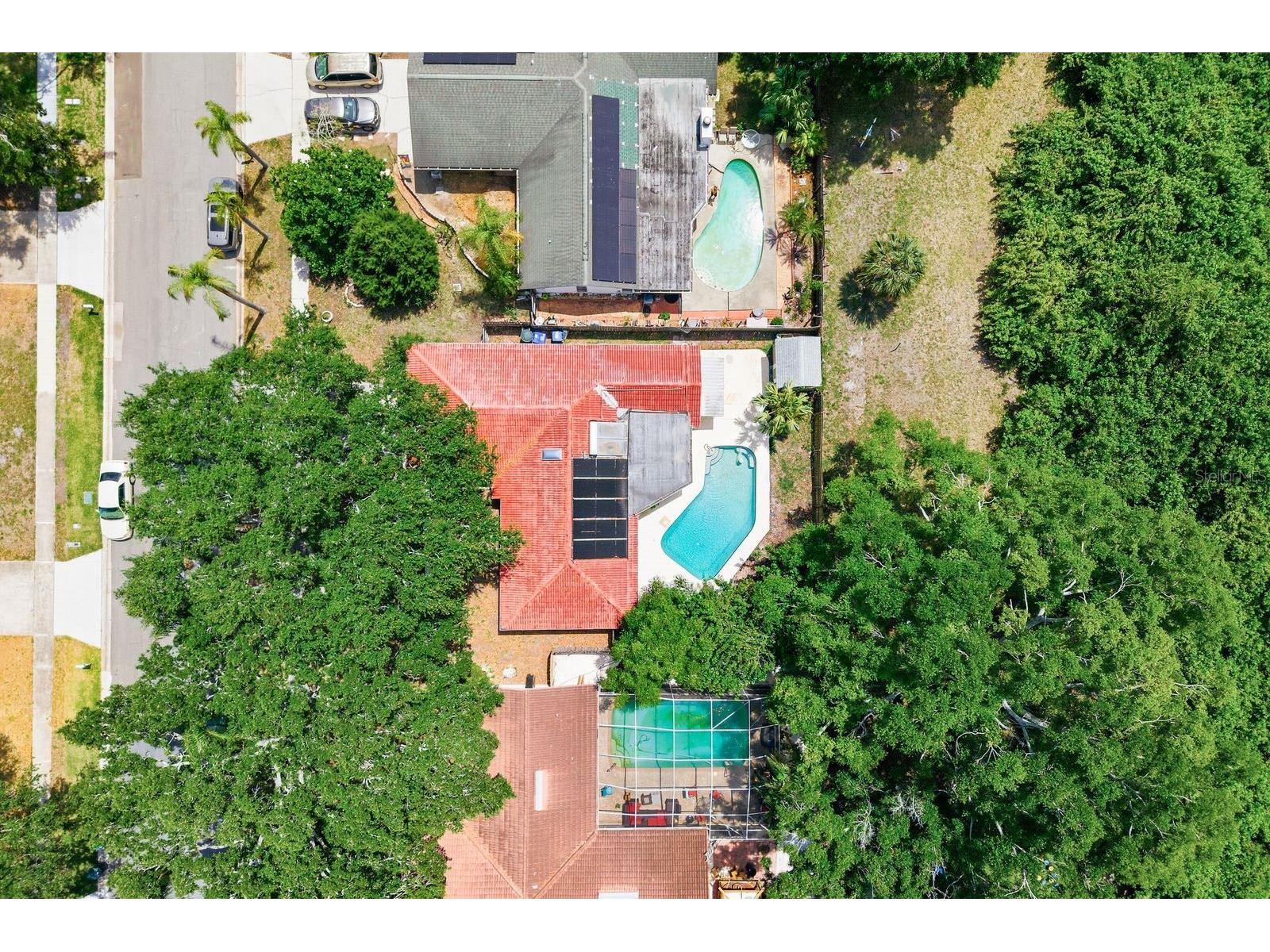 1771 Ranchwood Drive S Dunedin FL 34698 TB8505428 image48
