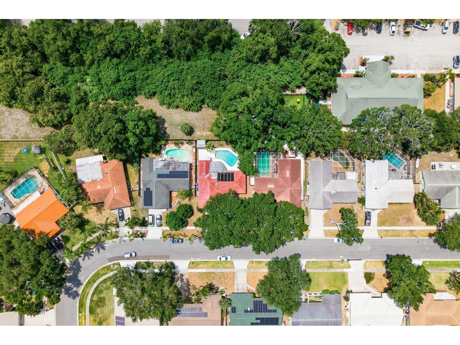 1771 Ranchwood Drive S Dunedin FL 34698 TB8505428 image49