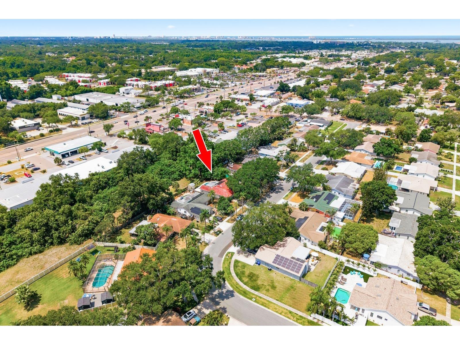 1771 Ranchwood Drive S Dunedin FL 34698 TB8505428 image50