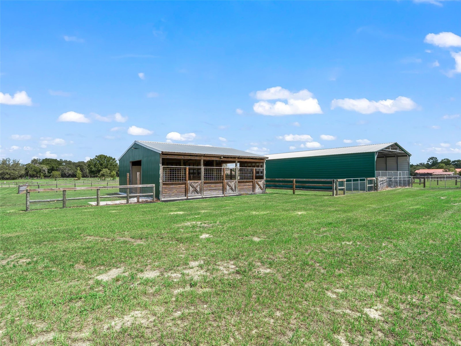 1771 SE 119th Avenue Morriston FL 32668 OM725343 image39