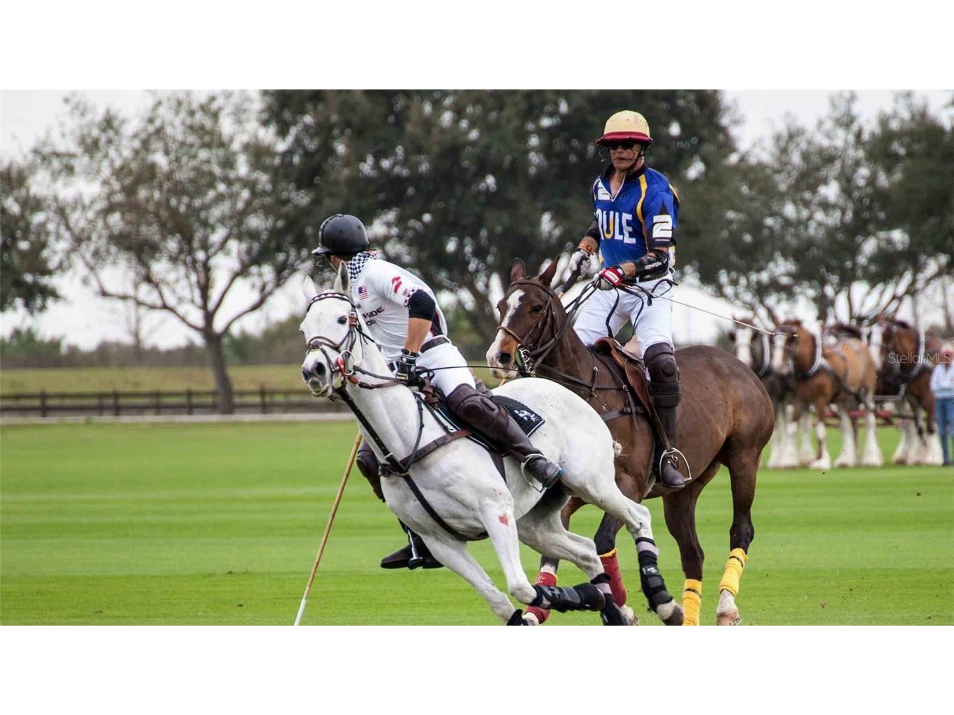 17710 Cantarina Cove Bradenton FL 34211 O6365727 image33