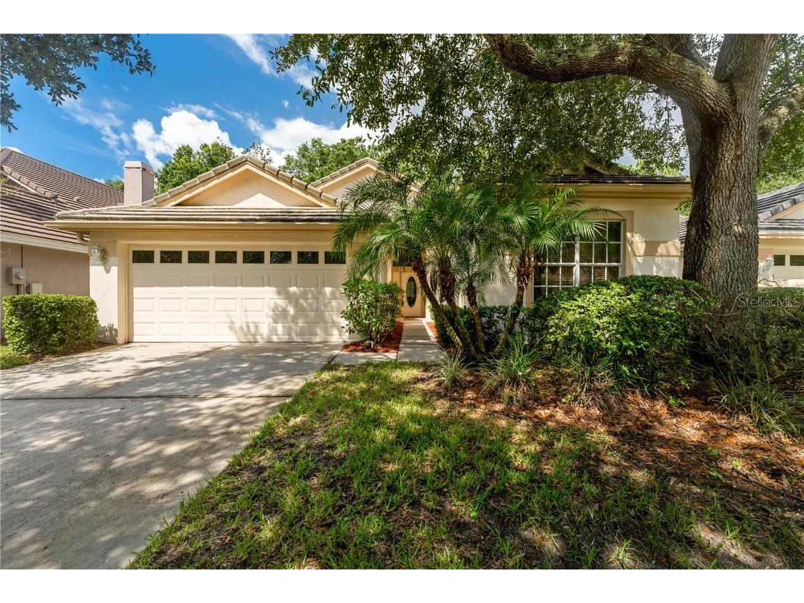 17710 Nathans Drive Tampa FL 33647 T3541290 image1