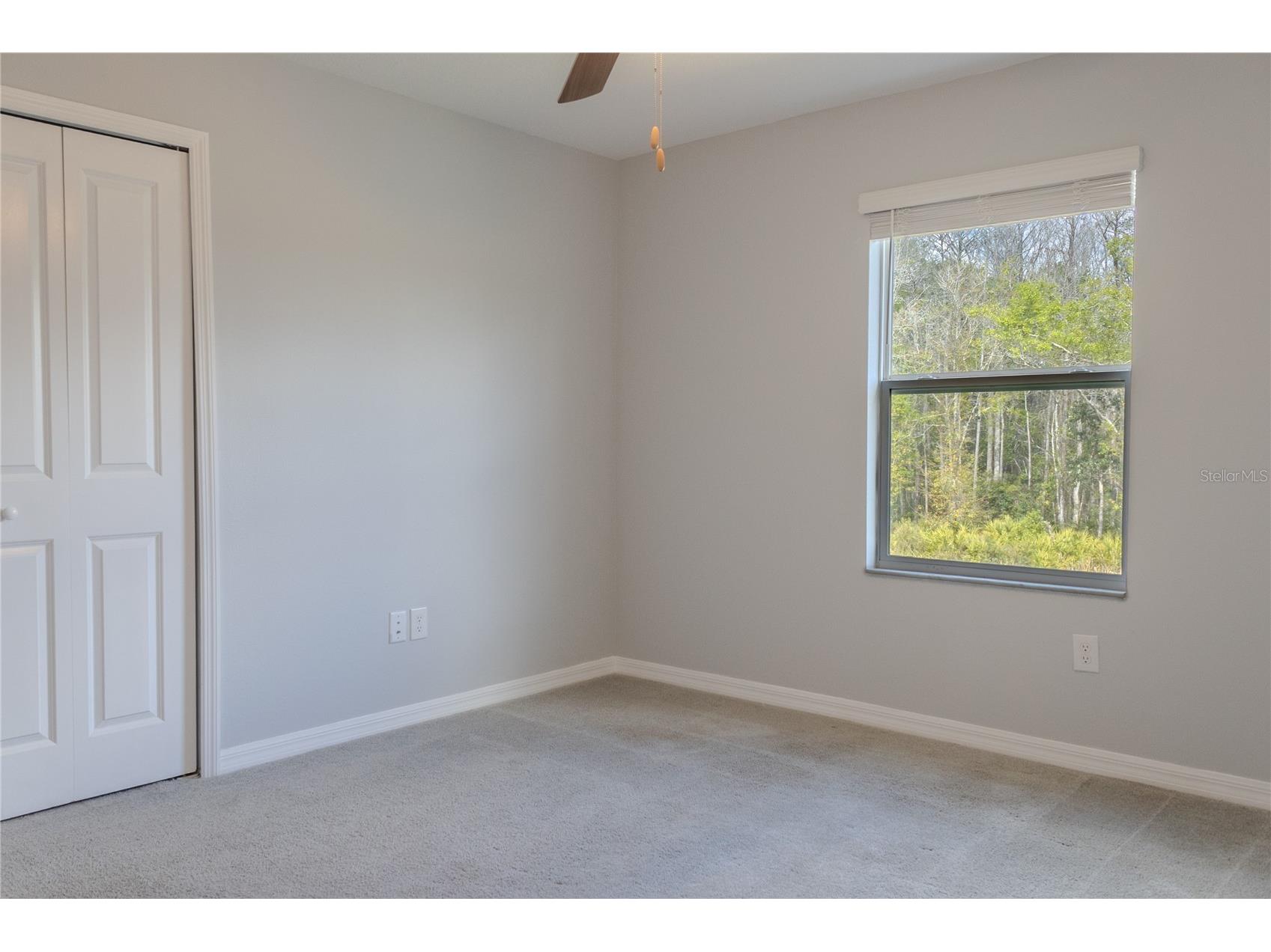 17711 Nectar Flume Drive Land O Lakes FL 34638 TB8495076 image11