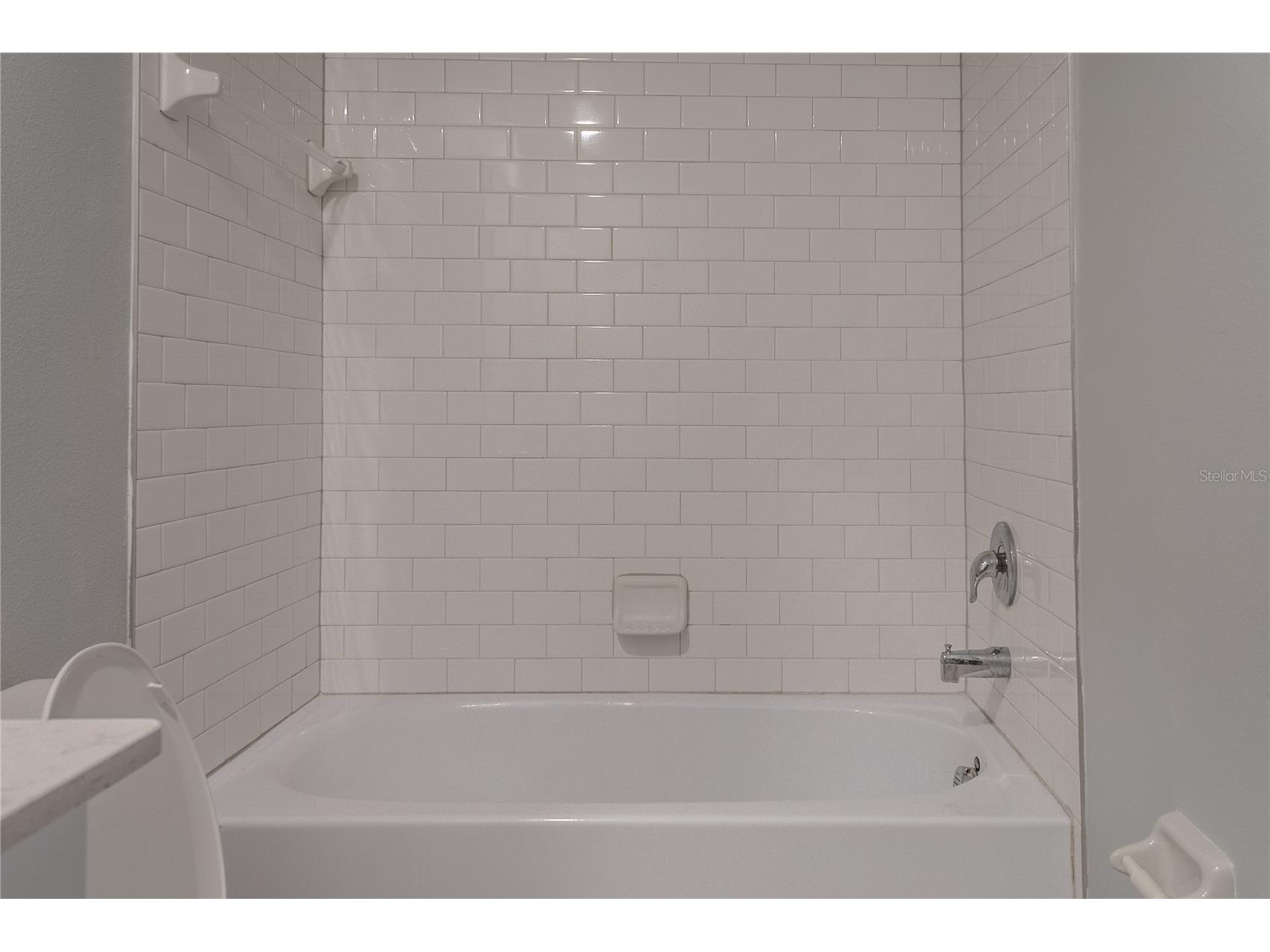 17711 Nectar Flume Drive Land O Lakes FL 34638 TB8495076 image18