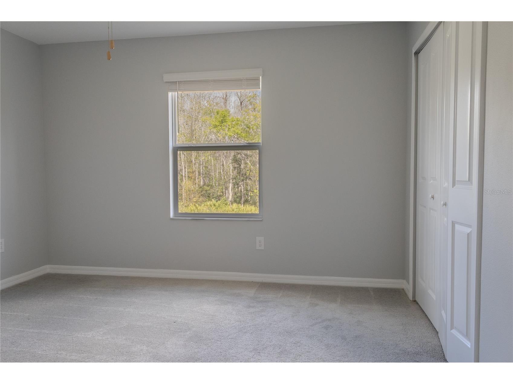 17711 Nectar Flume Drive Land O Lakes FL 34638 TB8495076 image22