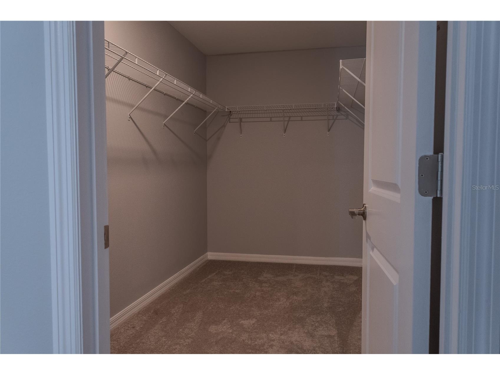 17711 Nectar Flume Drive Land O Lakes FL 34638 TB8495076 image26