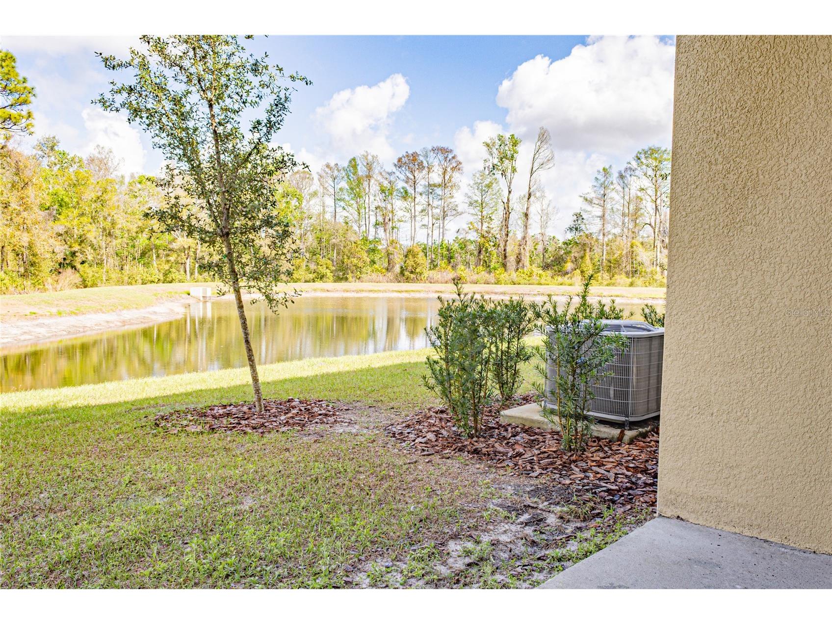 17711 Nectar Flume Drive Land O Lakes FL 34638 TB8495076 image33