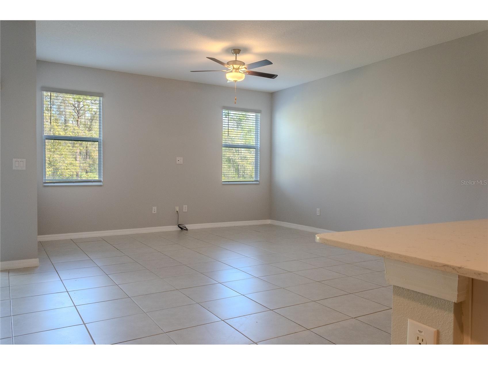 17711 Nectar Flume Drive Land O Lakes FL 34638 TB8495076 image4