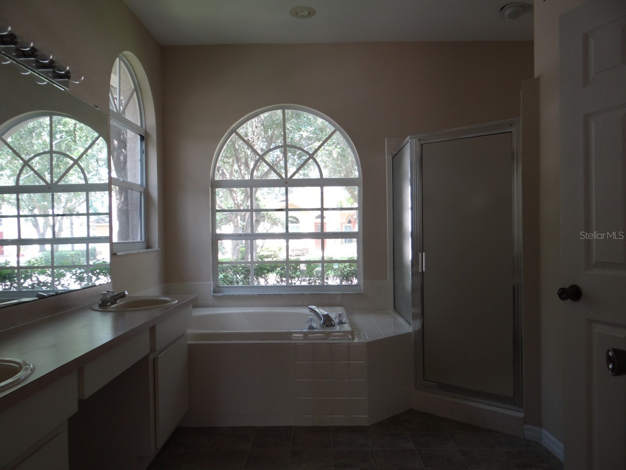 17712 Hampshire Oak Drive Tampa FL 33647 TB8505995 image16
