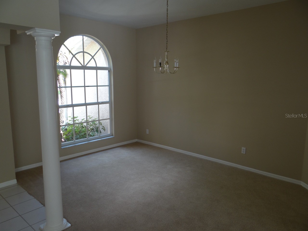 17712 Hampshire Oak Drive Tampa FL 33647 TB8505995 image4
