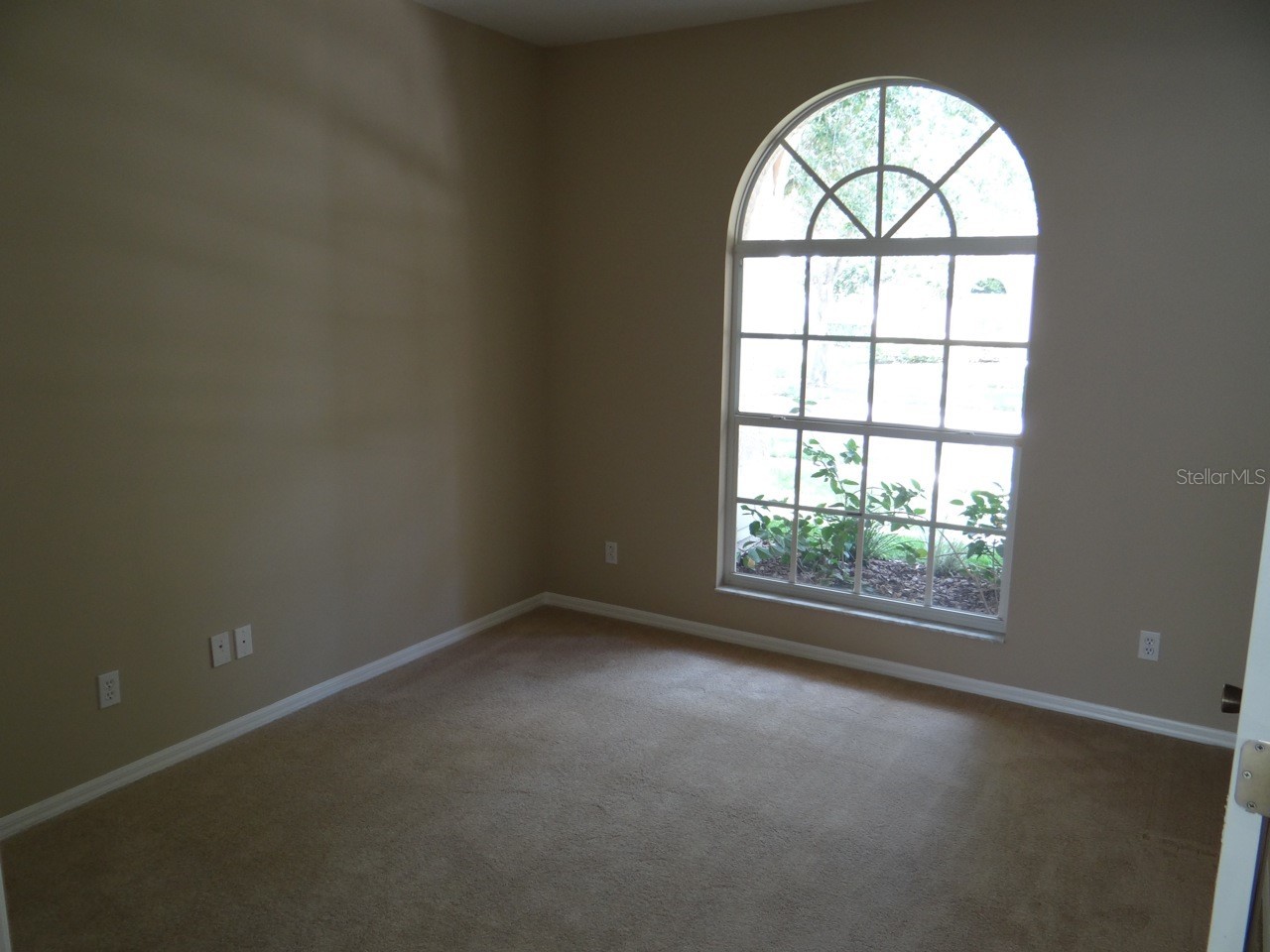 17712 Hampshire Oak Drive Tampa FL 33647 TB8505995 image5