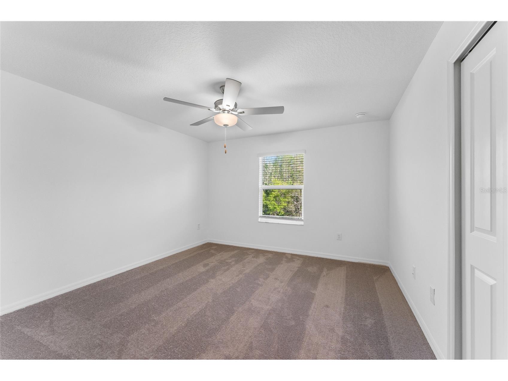 17712 Nectar Flume Drive Land O Lakes FL 34638 TB8481654 image30