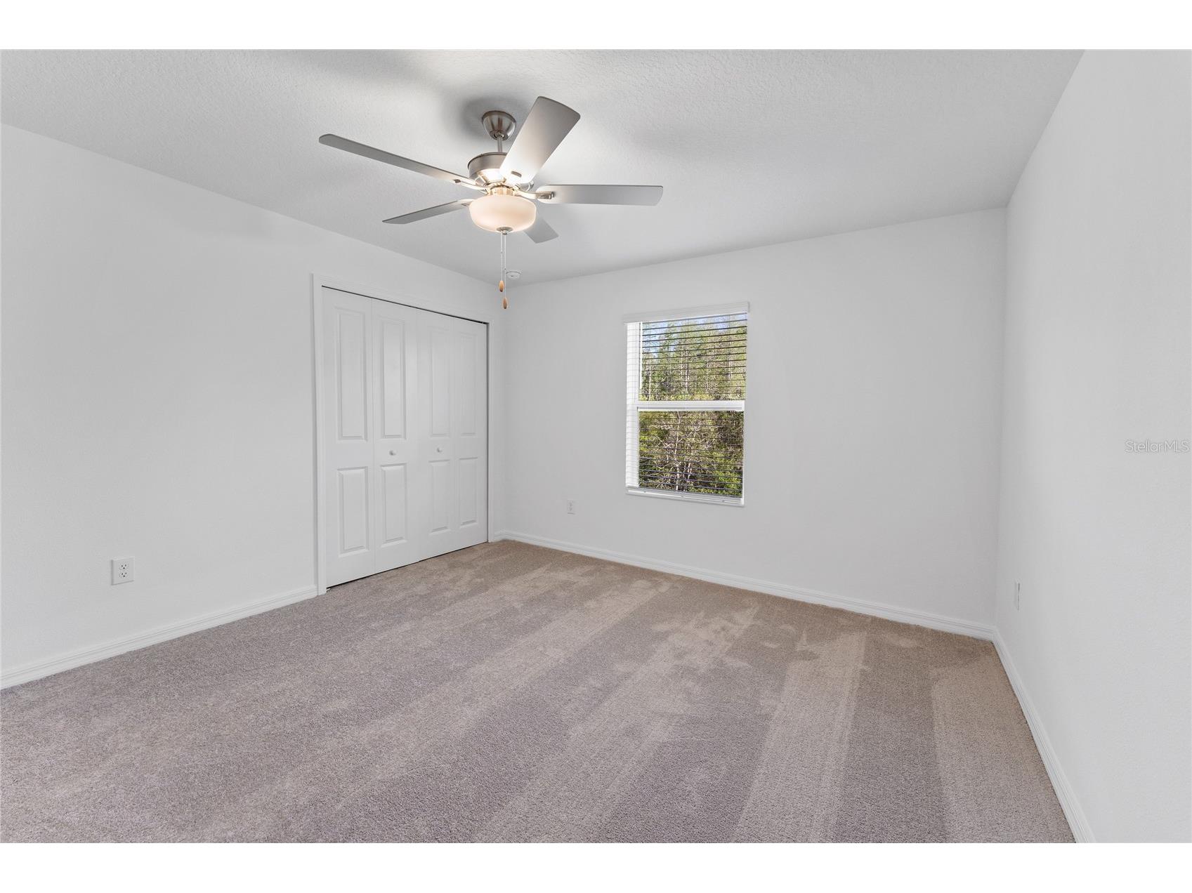 17712 Nectar Flume Drive Land O Lakes FL 34638 TB8481654 image35