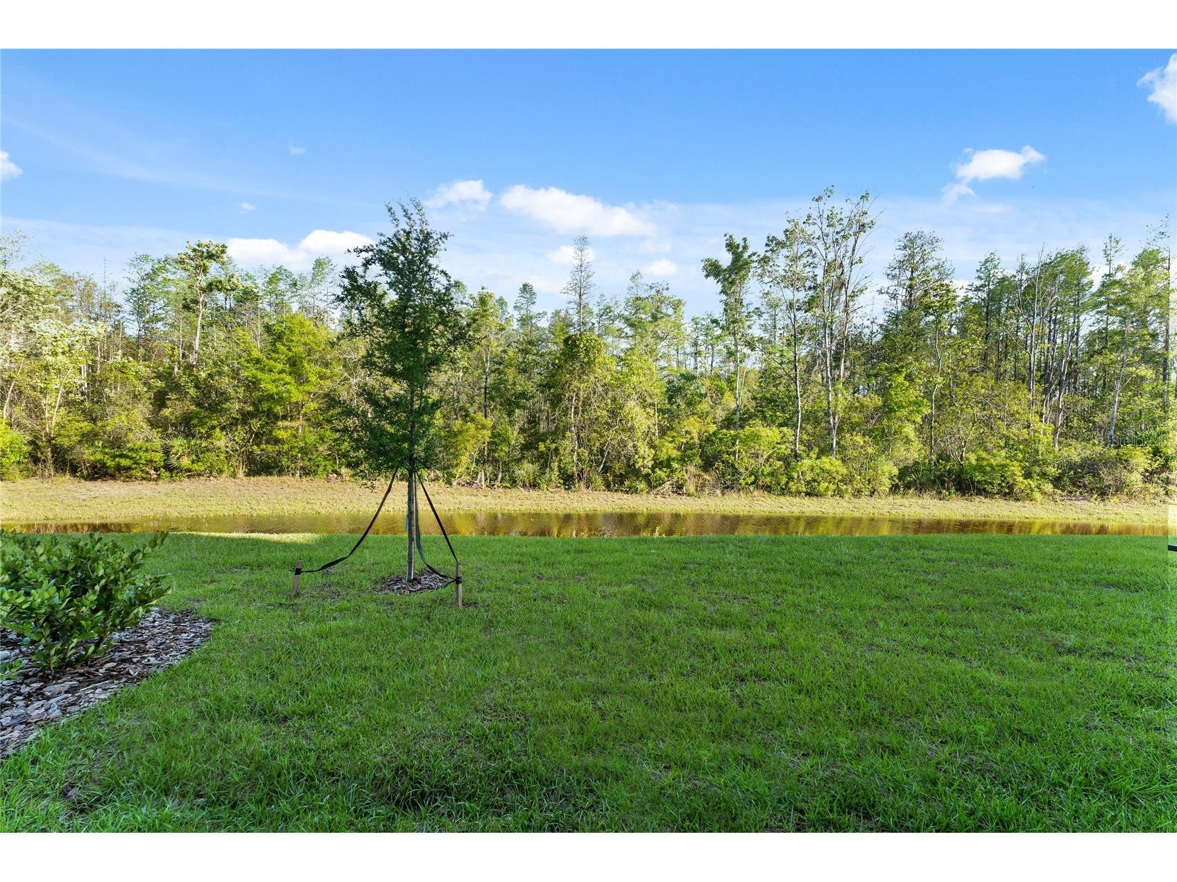 17712 Nectar Flume Drive Land O Lakes FL 34638 TB8481654 image38