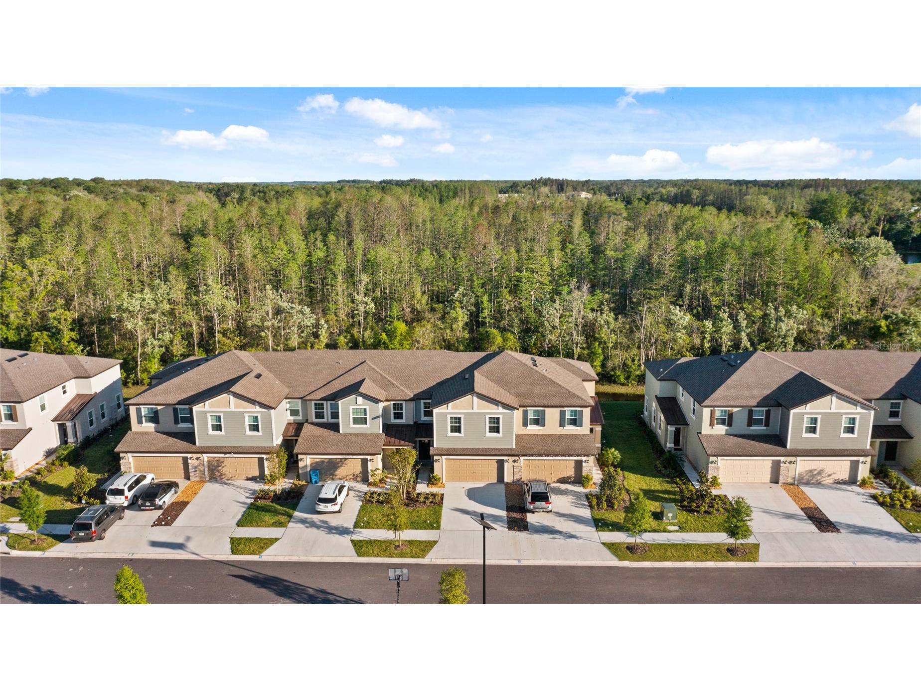 17712 Nectar Flume Drive Land O Lakes FL 34638 TB8481654 image43