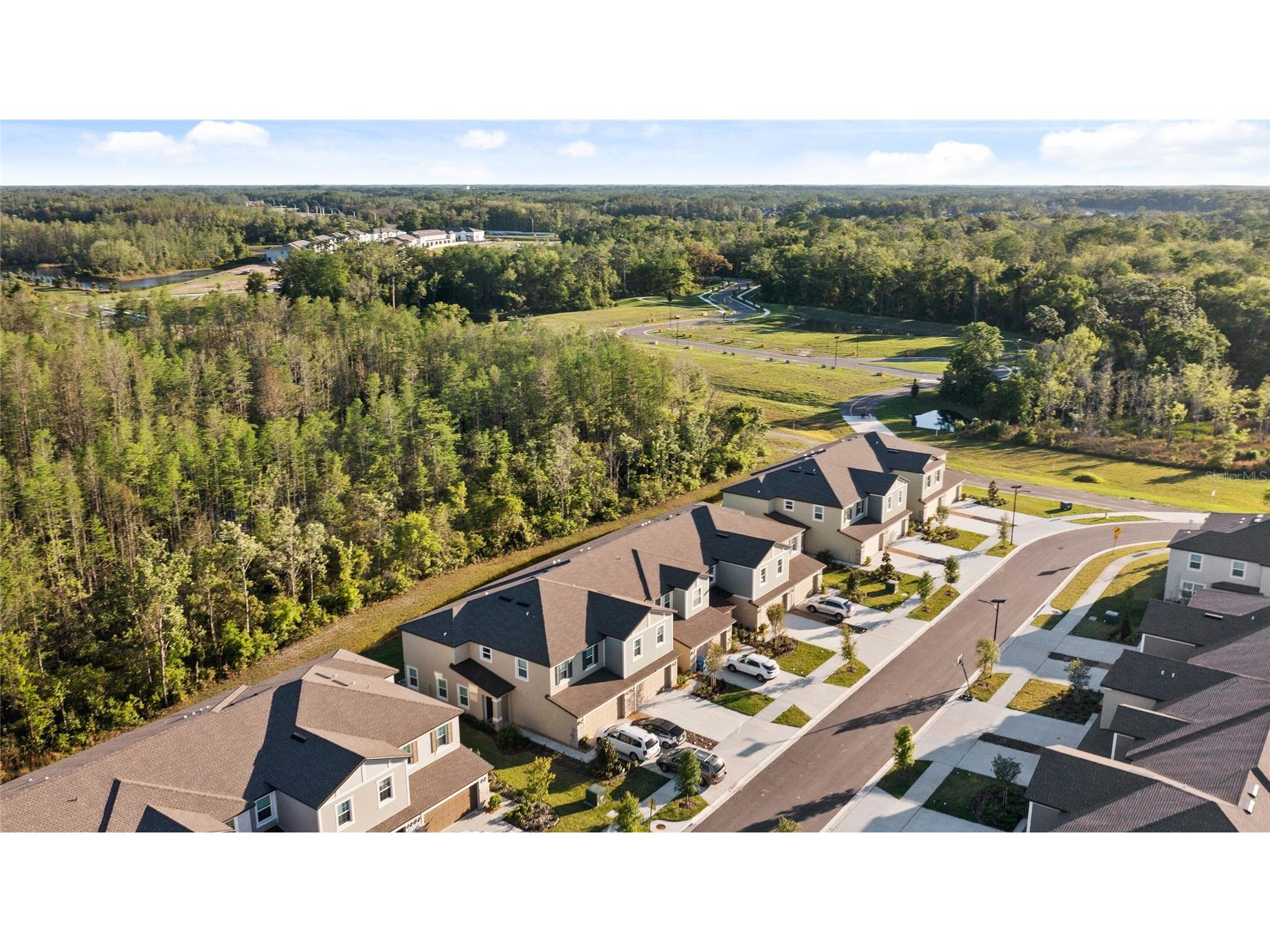 17712 Nectar Flume Drive Land O Lakes FL 34638 TB8481654 image46