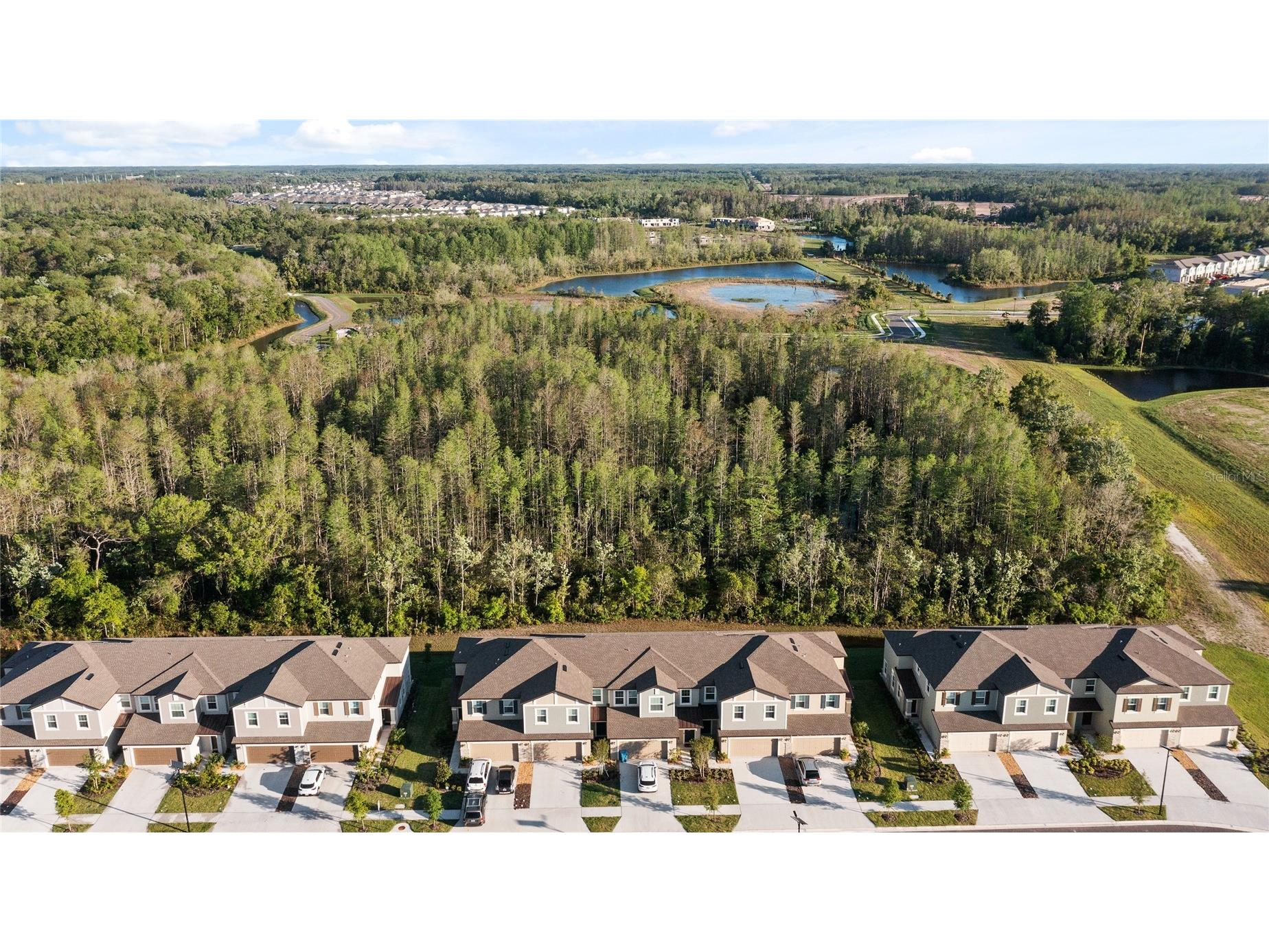 17712 Nectar Flume Drive Land O Lakes FL 34638 TB8481654 image47