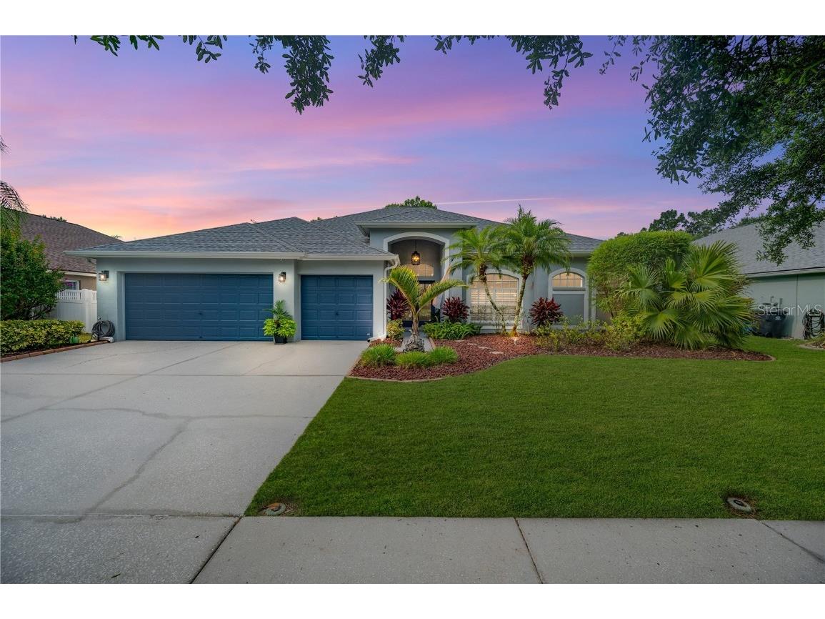 17713 Currie Ford Drive Lutz FL 33558 T3527016 image1