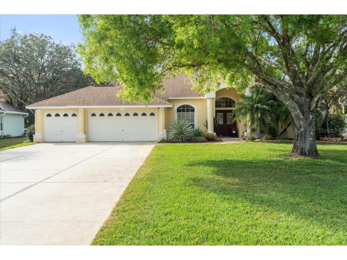 17714 Crystal Cove Place Lutz FL 33548 T3427528 image1