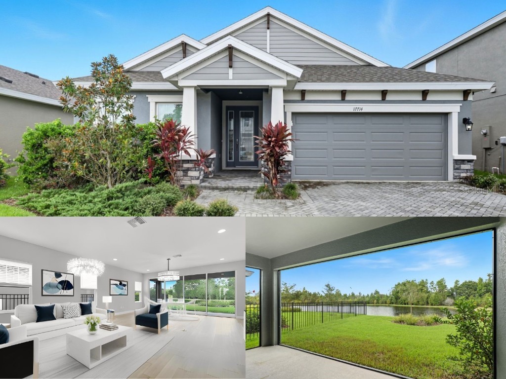 17714 Everlong Drive Land O Lakes FL 34638 TB8451529 image1
