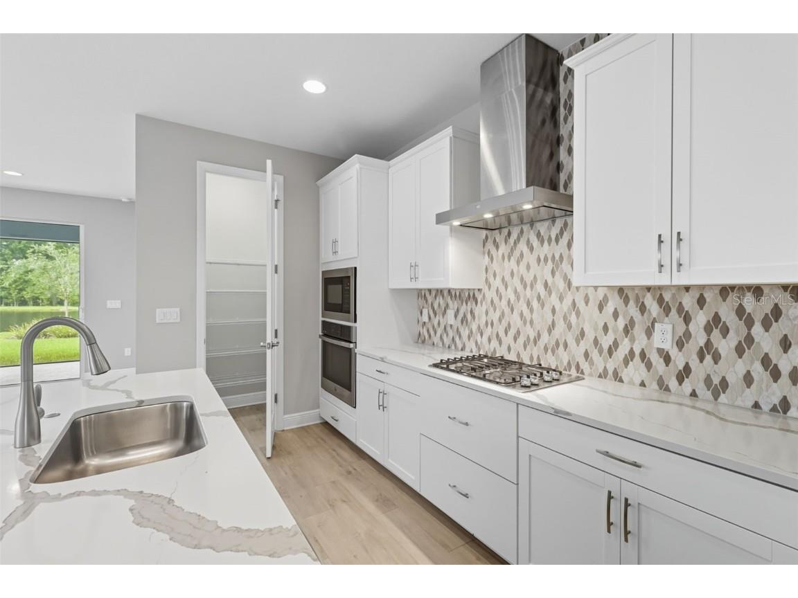 17714 Everlong Drive Land O Lakes FL 34638 TB8451529 image21