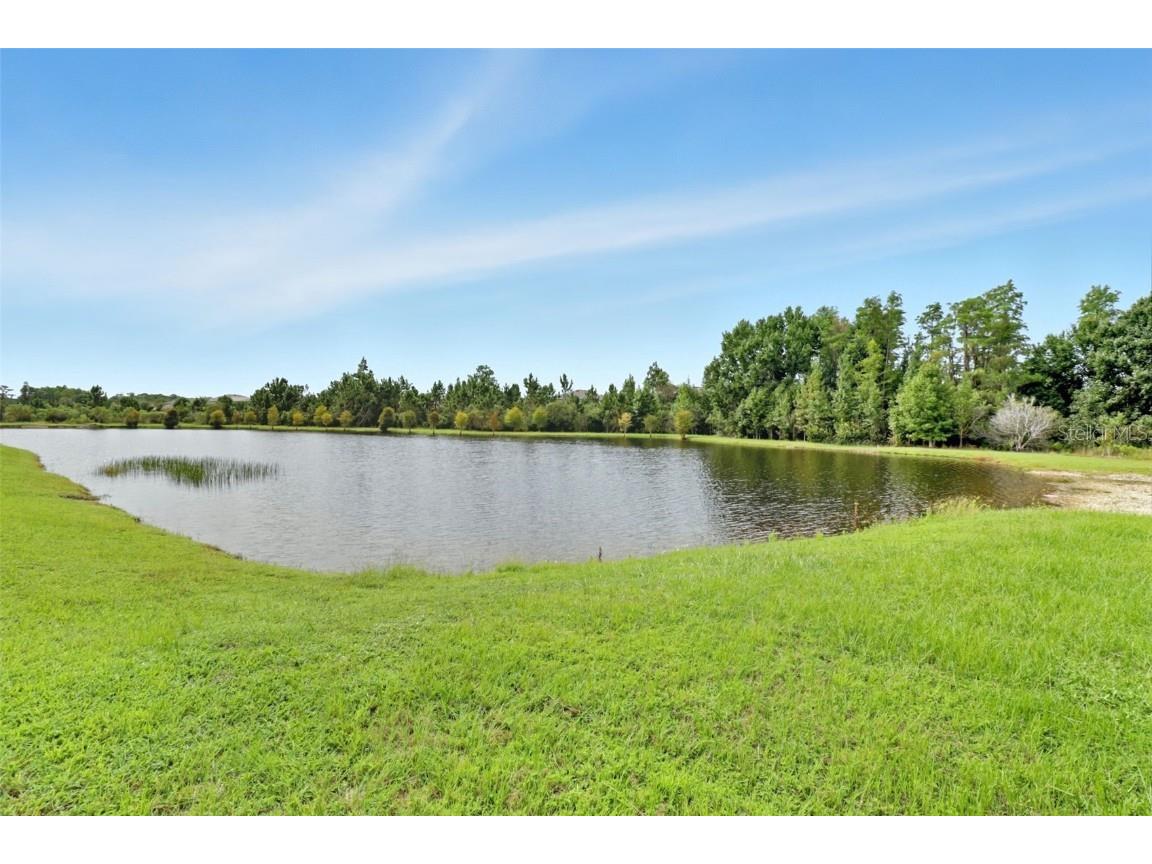 17714 Everlong Drive Land O Lakes FL 34638 TB8451529 image32