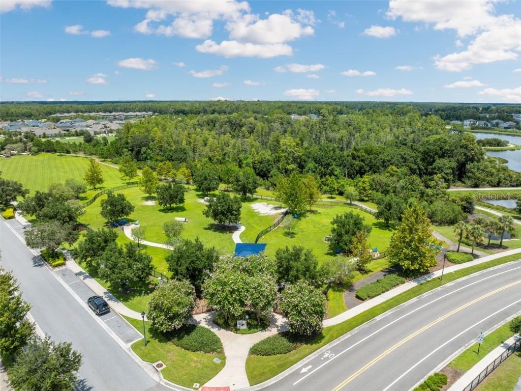 17714 Everlong Drive Land O Lakes FL 34638 TB8451529 image58