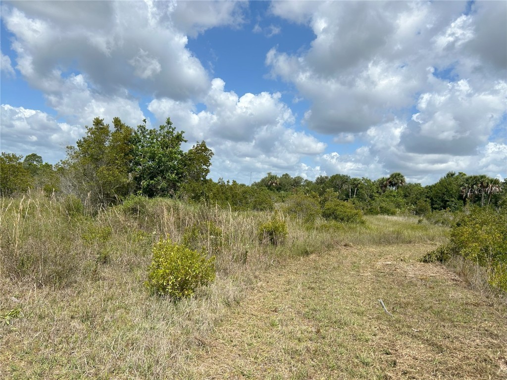 17714 NW 310th Street Okeechobee FL 34972 O6210872 image1