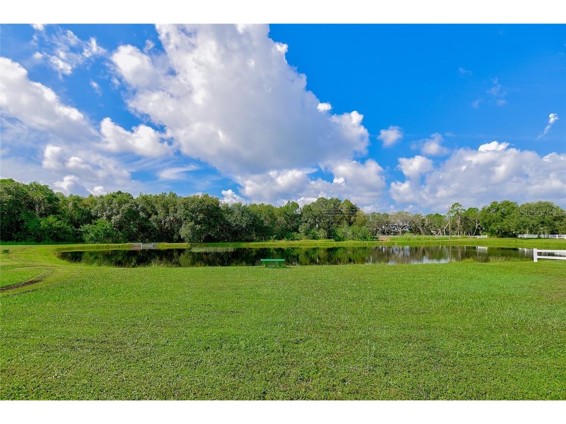 17715 Roanwood Court Parrish FL 34219 A4619305 image78