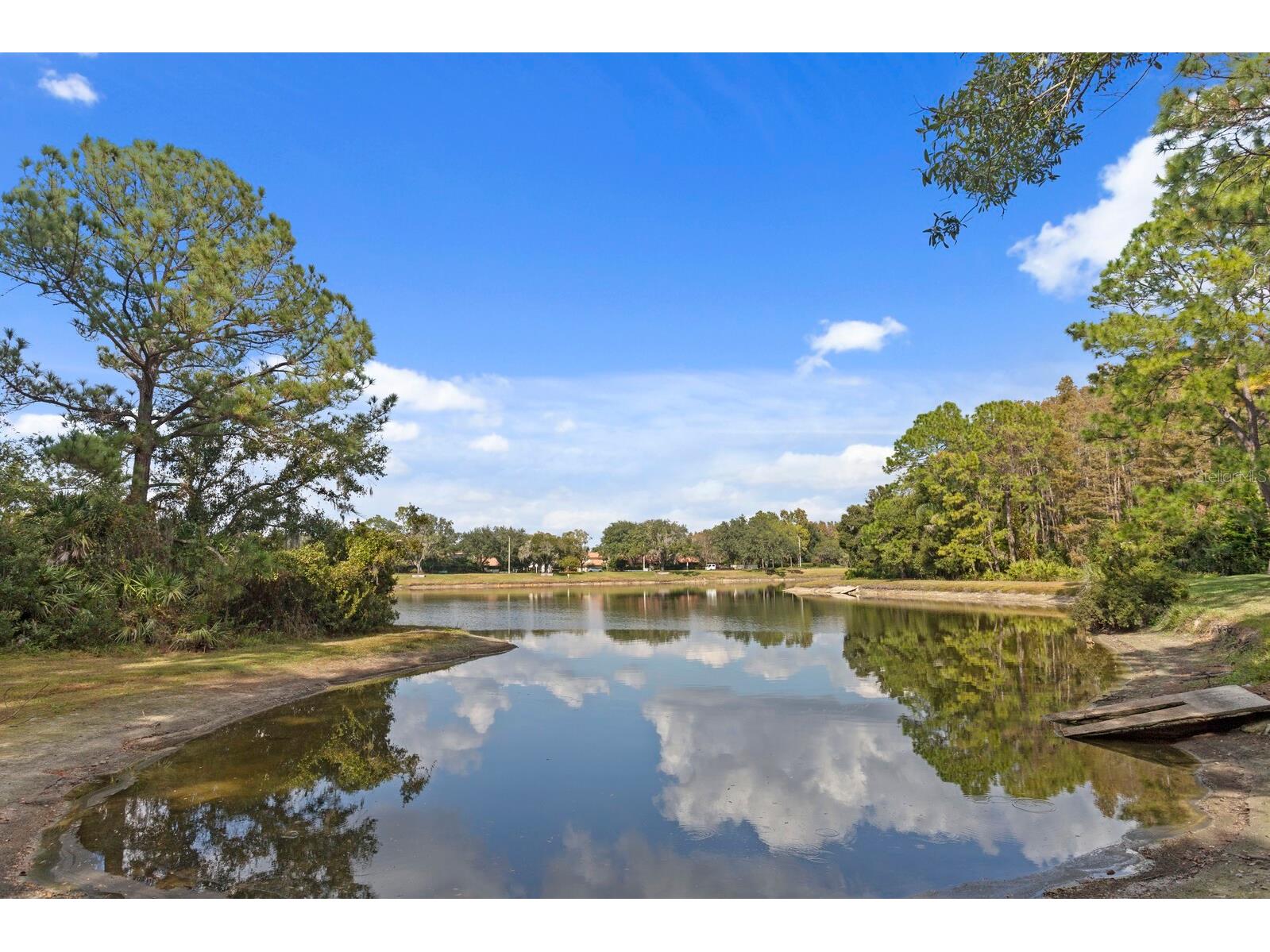 17716 Nathans Drive Tampa FL 33647 TB8459078 image2