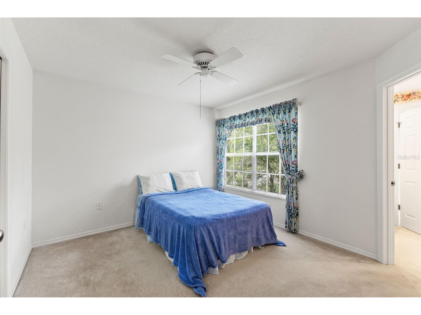 17716 Nathans Drive Tampa FL 33647 TB8459078 image39