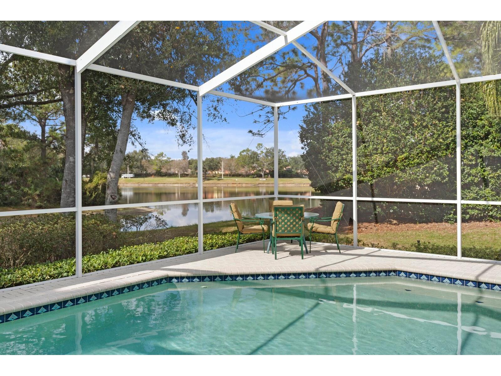 17716 Nathans Drive Tampa FL 33647 TB8459078 image46