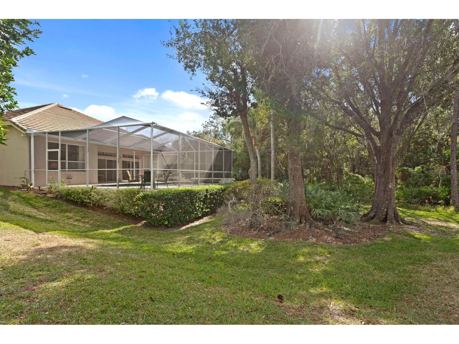 17716 Nathans Drive Tampa FL 33647 TB8459078 image53