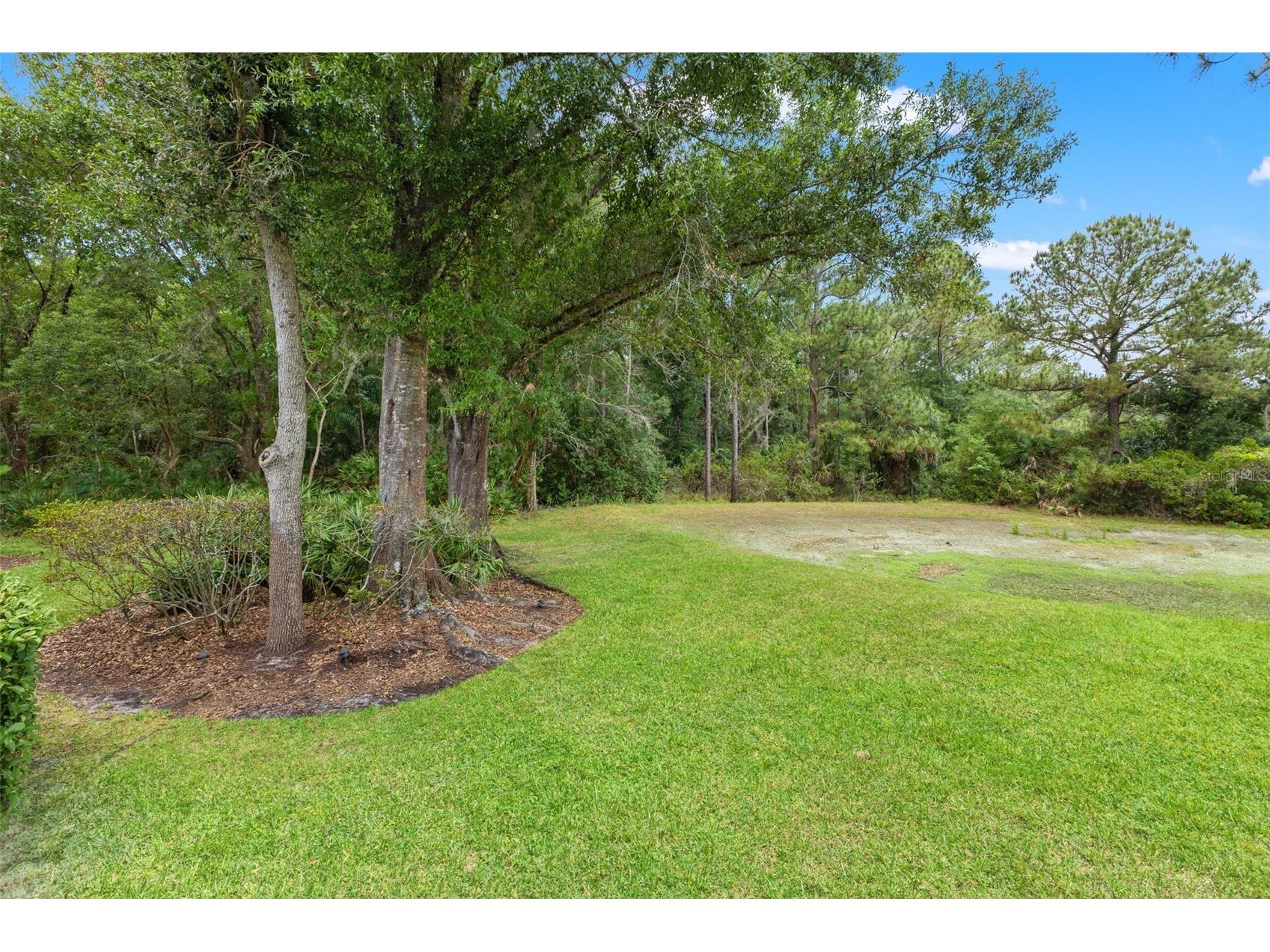 17716 Nathans Drive Tampa FL 33647 TB8459078 image54