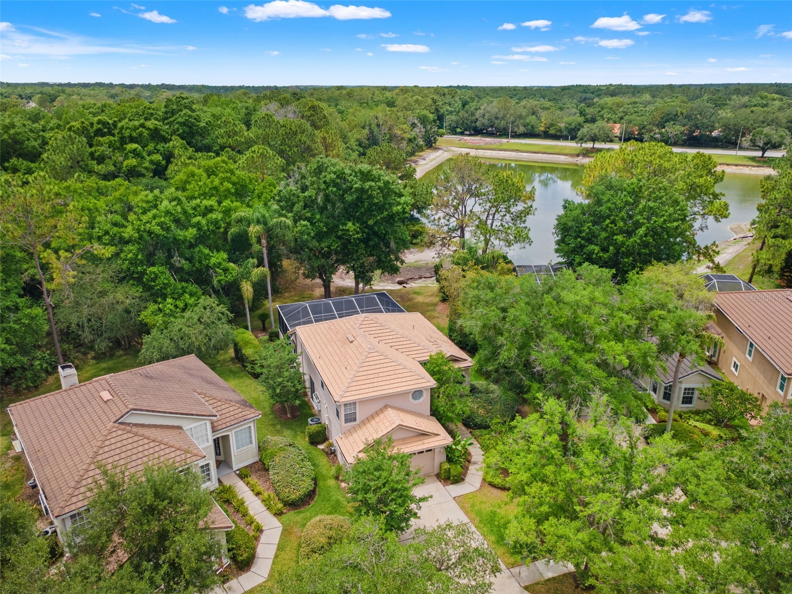 17716 Nathans Drive Tampa FL 33647 TB8459078 image57