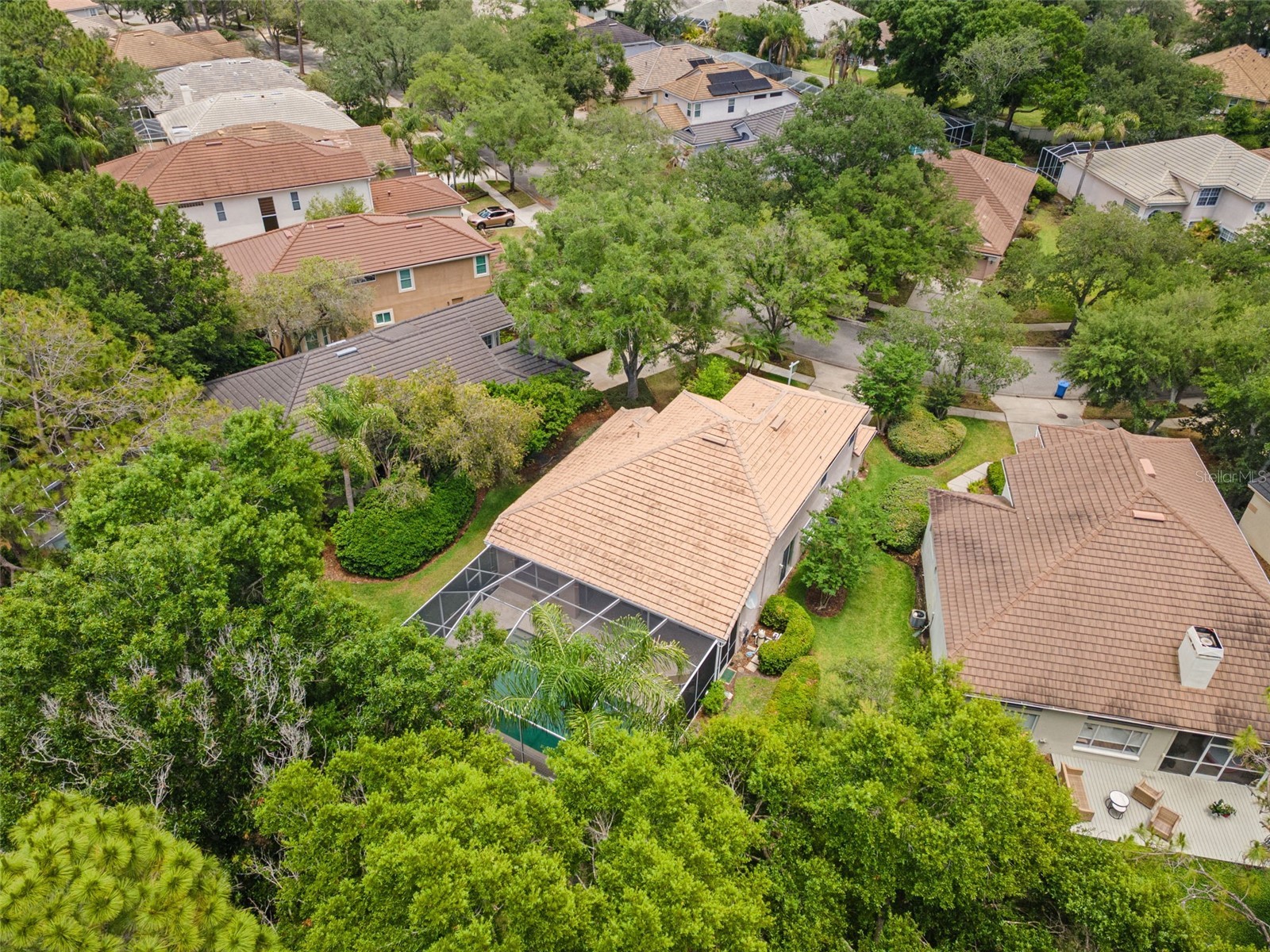 17716 Nathans Drive Tampa FL 33647 TB8459078 image58